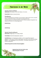 Vorschau - Arbeitsblätter - Fluoreszenz in der Natur - weinende Kastanie - Seite 1