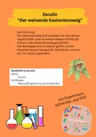 Vorschau - Arbeitsblätter - Fluoreszenz in der Natur - weinende Kastanie - Deckblatt