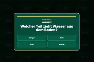 Vorschau - Unterrichtsreihen - Bio-Pardy - Die Welt der Pflanzen - Seite 2