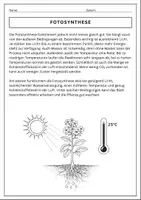 Vorschau - Arbeitsblätter - Fotosynthese Klasse 5/6 Biologie - Seite 3