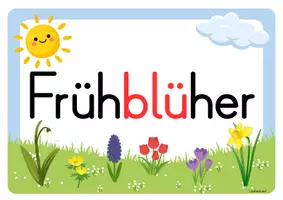Vorschau - Poster - Frühblüher Reihentransparenz - Seite 2