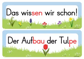 Vorschau - Poster - Frühblüher Reihentransparenz - Seite 3