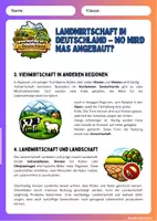 Vorschau - Arbeitsblätter - Landwirtschaft in Deutschland – Anbaugebiete und Nutzung einfach erklärt - Seite 2