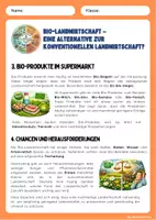 Vorschau - Arbeitsblätter - Bio-Landwirtschaft einfach erklärt – Nachhaltige Landwirtschaft als Alternative? - Seite 2