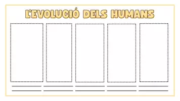 Vista previa - Hojas de trabajo - Prehistoria: Evolució dels humans (CAT) - Portada