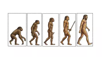 Vista previa - Hojas de trabajo - Prehistoria: Evolució dels humans (CAT) - página 1