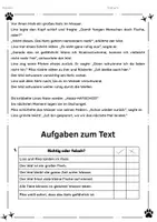 Vorschau - Arbeitsblätter - Lesetext Klasse 3 & 4 – Begegnung mit einem Wal – Leseverständnis mit Arbeitsblättern – differenziert - Seite 2