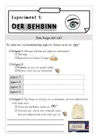Vorschau - Stundenentwürfe - Sinne (5 Experimente- Doppelstunde) - Wie beeinflussen Sinne unser Nahrungsempfinden? - Seite 3