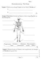 Vorschau - Arbeitsblätter - Materialpaket menschlicher Körper (Bildkarten & LZK) - Seite 2