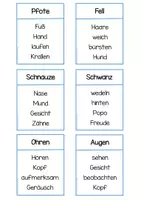 Vorschau - Spiele - Holli sagt nix - Das tierische Spiel für soziales Lernen & Sprache - Seite 3