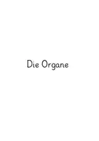 Vorschau - Poster - Bildkarten zum menschlichen Körper (Organe, Knochen, Gelenke & Aushang) - Seite 1