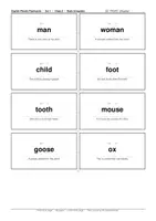 Vorschau - Stationenlernen - English Plurals - 80 Flashcards (Klasse 5-8) - Deckblatt
