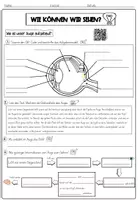 Vorschau - Arbeitsblätter - Auge (Wie können wir sehen?) Klasse 5 - Seite 1