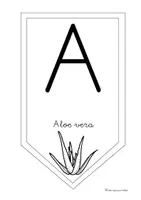 Vista previa - Decoración del aula - ABECEDARIO CANARIO - página 1