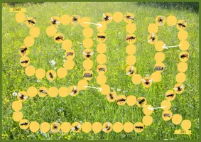 Vorschau - Spiele - Wildbienen und Hummeln Quiz-Spiel zur Wissenssicherung - Seite 2