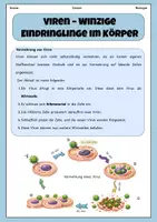 Vorschau - Stundenentwürfe - Viren- Aufbau und Funktion | Unterrichtsreihe "Immunsystem und Gesundheit", Biologie 7.-8. Klasse - Seite 2