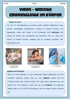 Vorschau - Stundenentwürfe - Viren- Aufbau und Funktion | Unterrichtsreihe "Immunsystem und Gesundheit", Biologie 7.-8. Klasse - Seite 3