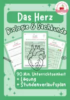 Vorschau - Stundenentwürfe - Mensch und Körper Biologie/ Sachkunde Bundle (je 90 Min. Einheit) - Seite 1
