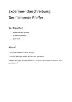 Vorschau - Arbeitsblätter - 8 Experimente (Physik, Chemie, Sachunterricht) - Deckblatt