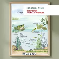 Vorschau - Poster - Frosch im Teich – Lernposter Metamorphose Sachunterricht - Deckblatt