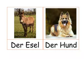 Vorschau - Bildkarten - Tiere - Wortkarten / Bauernhof / Wortspeicher - Deckblatt