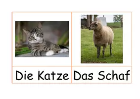 Vorschau - Bildkarten - Tiere - Wortkarten / Bauernhof / Wortspeicher - Seite 1