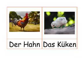 Vorschau - Bildkarten - Tiere - Wortkarten / Bauernhof / Wortspeicher - Seite 2