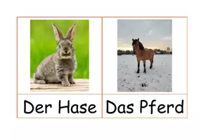 Vorschau - Bildkarten - Tiere - Wortkarten / Bauernhof / Wortspeicher - Seite 3