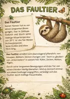 Vorschau - Arbeitsblätter - Angepasstes Leben im Regenwald Gruppenarbeit - Deckblatt