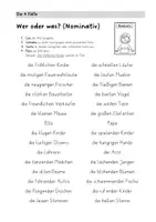 Vorschau - Stundenentwürfe - Bundle: Die vier Fälle des Nomen - Seite 2