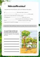 Vorschau - Arbeitsblätter - Nährstoffkreislauf im Regenwald - Deckblatt