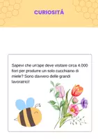 anteprima - Esercizi - Giornata delle Api classe seconda e terza - Pagina 3
