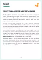 Vorschau - Arbeitsblätter - XL Materialpaket - Ernährung & Lebensmittel Experimente Arbeitsblätter - Seite 3