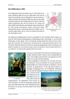 Vorschau - Arbeitsblätter - Schweizer Geschichte - Seite 3
