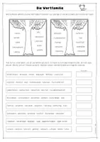Vorschau - Arbeitsblätter - Wortstamm / Wortfamilien Arbeitsblätterpaket (6 AB) - Seite 3