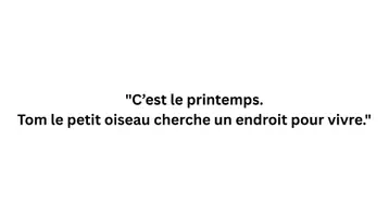 Aperçu - Cartes / Images - Kamishibai – Tom l’oiseau construit son nid | Printemps & nature - Page 2