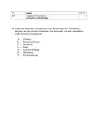 Vorschau - Arbeitsblätter - Aufgabensammlung Lichtquellen, Lichtempfänger - Seite 3