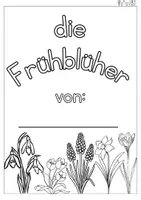 Vorschau - Unterrichtsreihen - Die Biene & Frühblüher - MATERIALPAKET (2 komplette Einheiten) - Seite 1