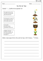 Vorschau - Arbeitsblätter - Frühblüher - Das Jahr der Tulpe (Sachunterricht) - Seite 1