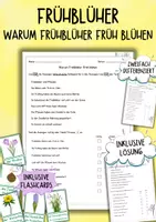 Vorschau - Arbeitsblätter - Frühblüher - Warum Frühblüher früh blühen (Sachunterricht) - Deckblatt