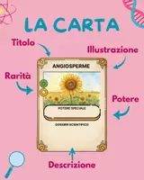 anteprima - Esercizi - Scienza in Gioco: crea le tue carte collezionabili - Pagina 2