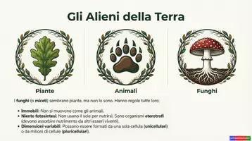 anteprima - Esercizi - Virus_KIT MULTIMODALE SCIENZE_1°media - Pagina 3