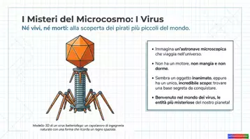 anteprima - Esercizi - Virus_KIT MULTIMODALE SCIENZE_1°media - Pagina 2