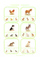 Voorbeeld - Knijpkaarten - Jonge dieren - Pagina 2