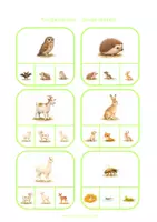 Voorbeeld - Knijpkaarten - Jonge dieren - Pagina 3