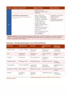Vorschau - Merkblätter - Analyseraster historische Textquellen – Schritt-für-Schritt Anleitung für Geschichtsklausuren - Seite 3