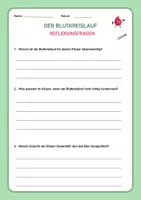 Vorschau - Stundenentwürfe - Der Blutkreislauf - Biologie & Sachkunde - 90 Min. Einheit 5.-7.Klasse - Seite 2