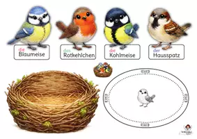 Vorschau - Mal- und Bastelvorlagen - Vögel im Garten Bastelvorlage – Sachunterricht & Kunst Grundschule Klasse 1–4 | DaZ Wortschatz | Nest & Sammelfiguren - Seite 2