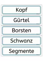 Vorschau - Arbeitsblätter - Der Regenwurm Tafelmaterial und Arbeitsblätter - Seite 3