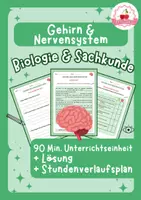 Vorschau - Stundenentwürfe - Gehirn & Nervensystem - Biologie & Sachunterricht - 90 Min. Einheit - Deckblatt